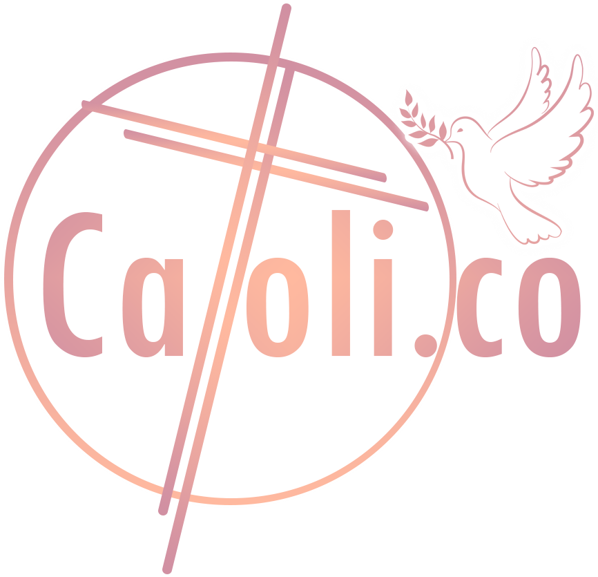Loja Catoli.co